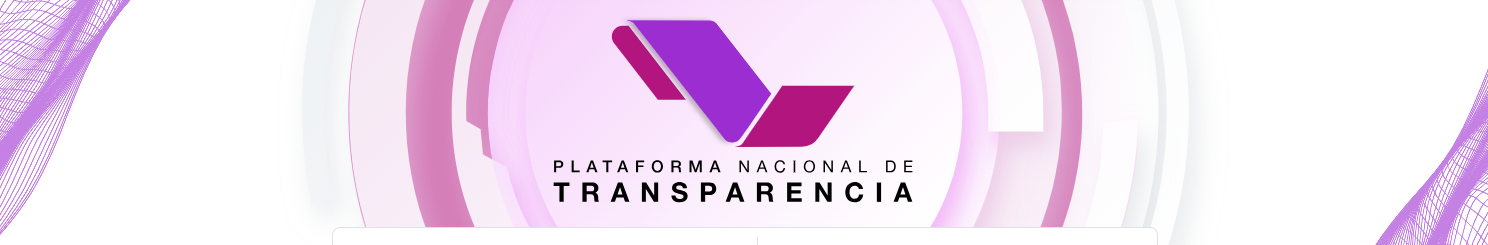 Plataforma Nacional de Transparencia